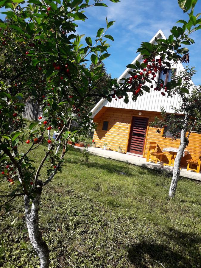 Holiday Home Ana Žabljak Екстериор снимка